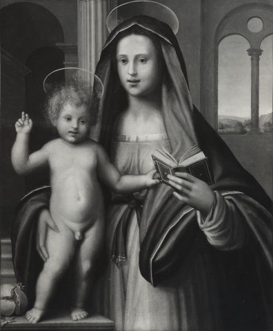 Anonimo — Anonimo fiorentino - sec. XVI - Madonna con Bambino — insieme